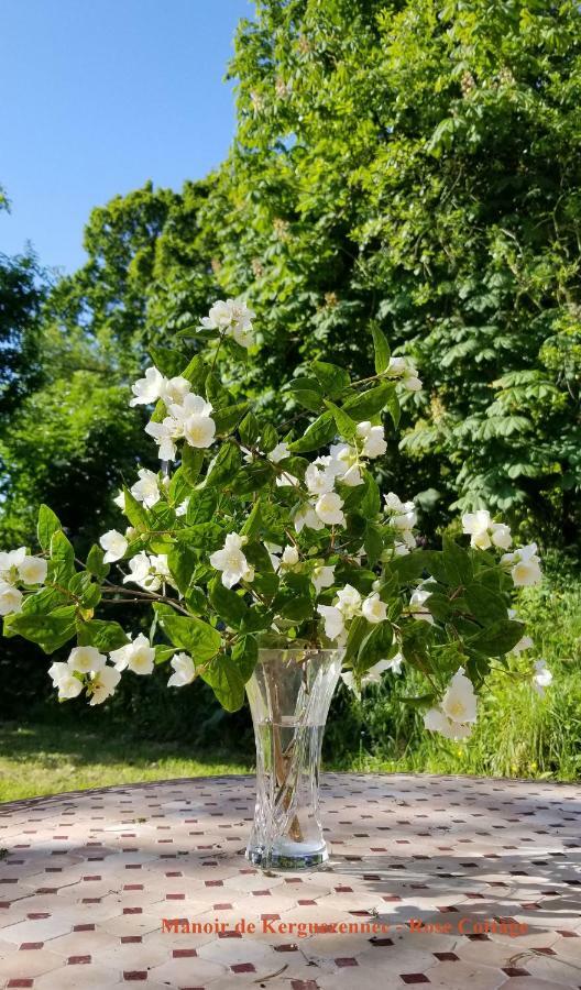 Rose cottage Pontrieux Exteriör bild